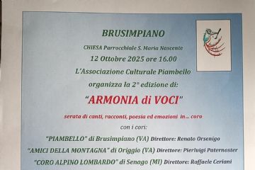 locandina evento, testo in descrizione